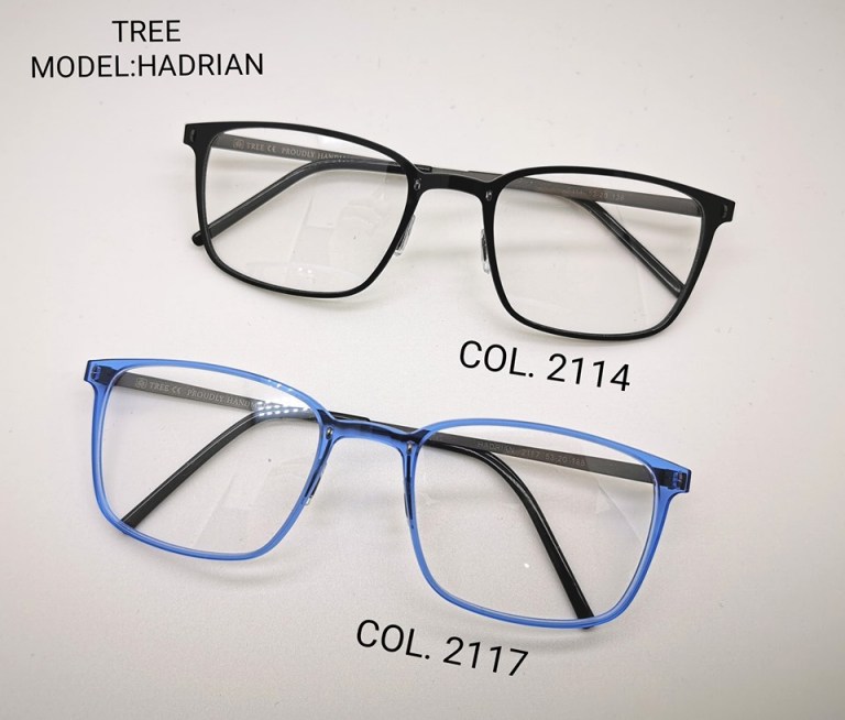 72460382_3019355991414504_5853291704274124800_n